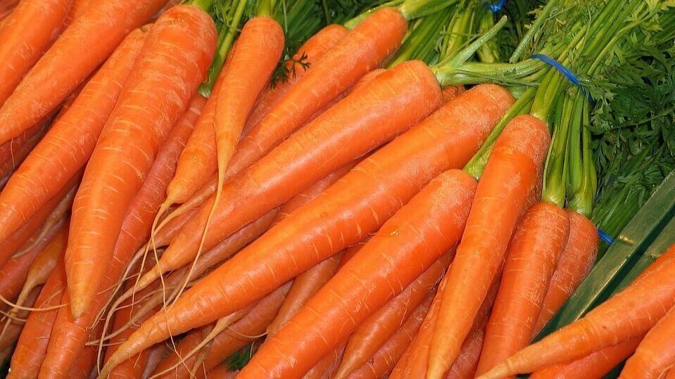 carrots-1160683_960_720|carrot-2523953_960_720